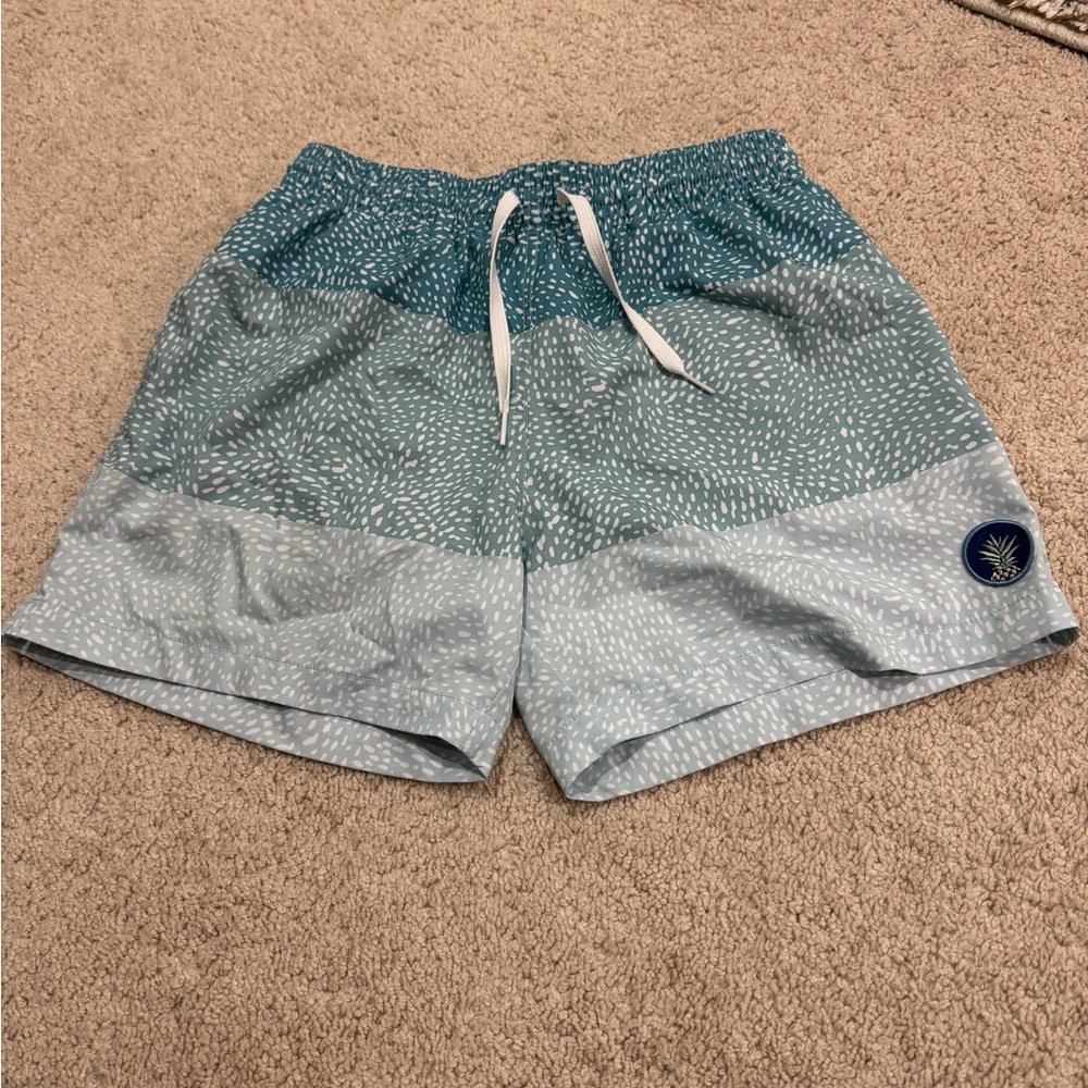 Blue Chubbies Swim Shorts